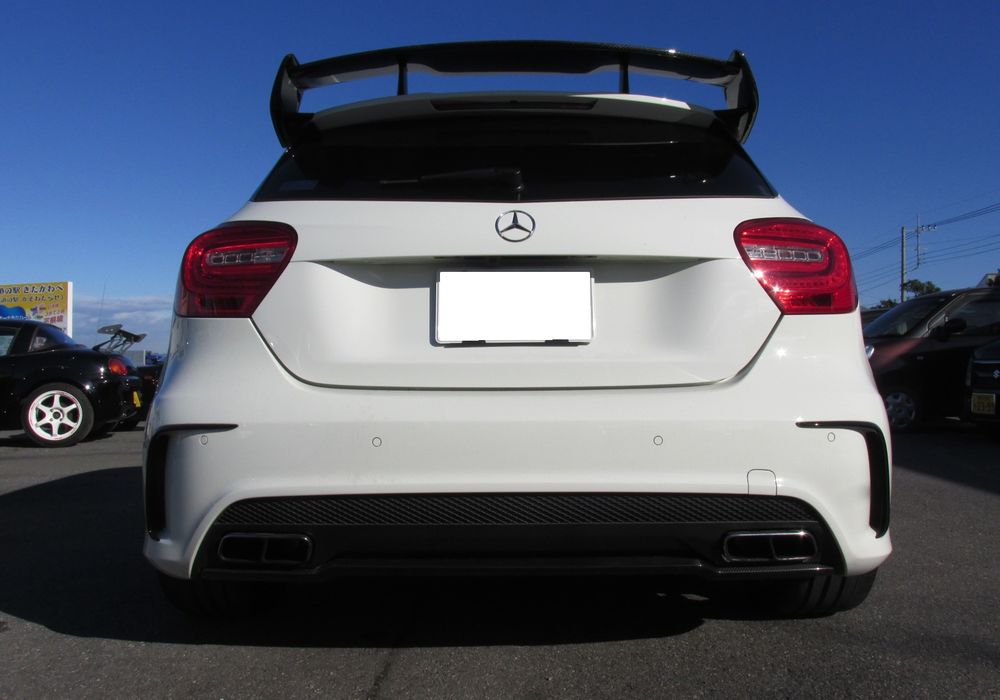 A45 フレデリック・コサール 2013