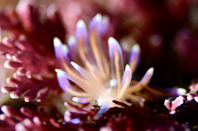 写真　撮影　旅行