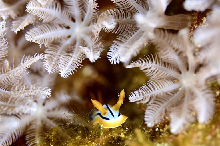 旅行　石垣　沖縄