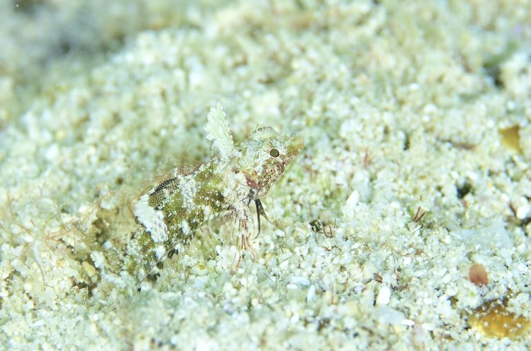 沖縄　ツアー　旅行