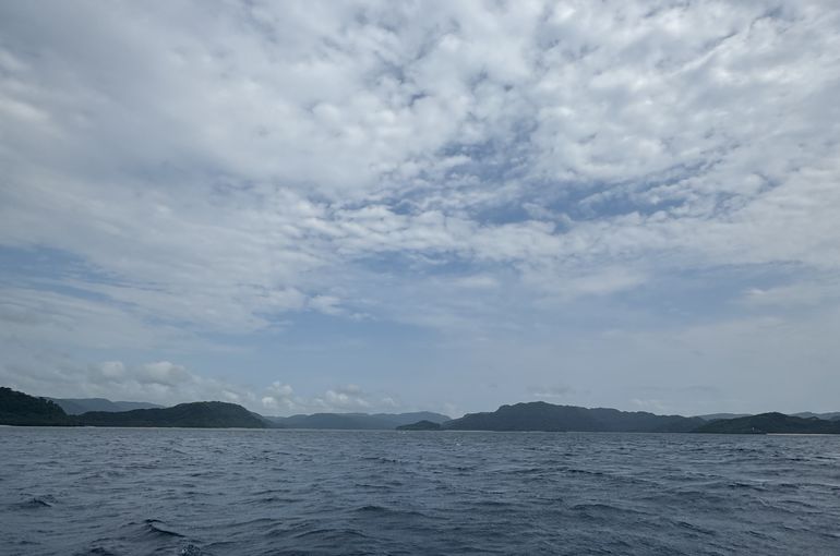 西表島　iriomote ツアー