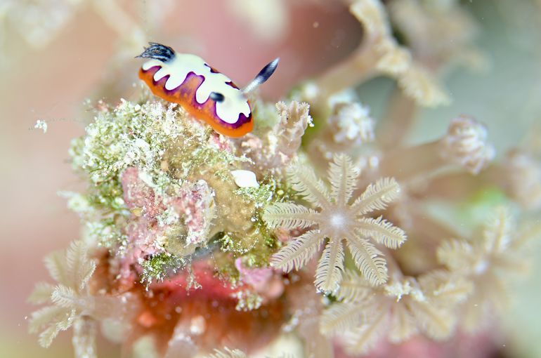西表島　沖縄　okinawa