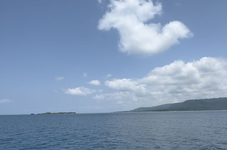 西表島　沖縄　ツアー