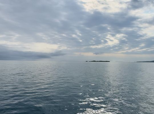 西表島　沖縄　ツアー