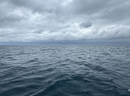 西表島　沖縄　ツアー