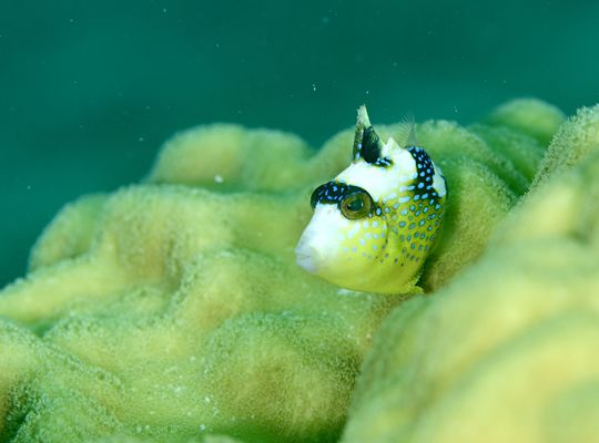 沖縄　石垣　okinawa