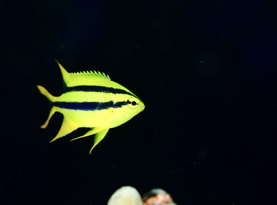 ツアー　旅行　旅