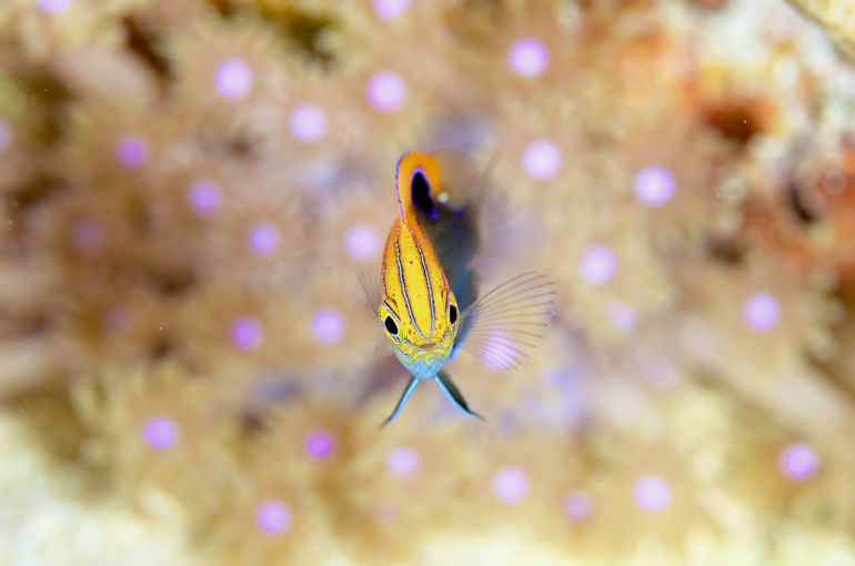 旅行　vacances vacation