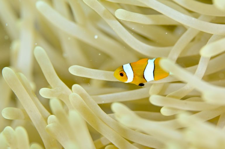 沖縄　石垣　okinawa