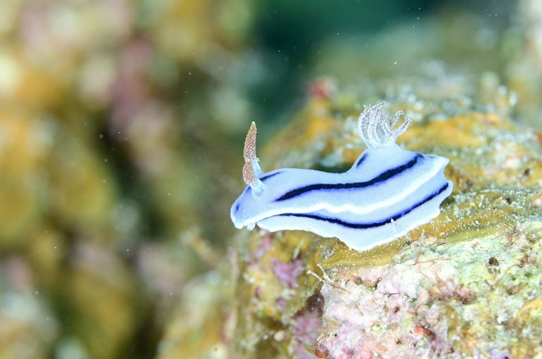 旅行　vacation vacances