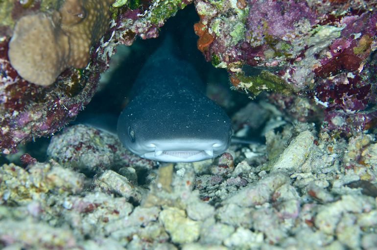 沖縄　okinawa 石垣