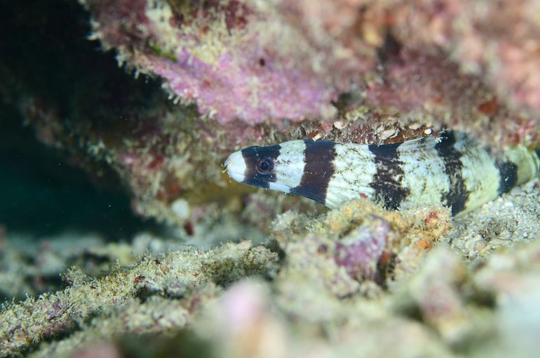 了解　vacation vacances