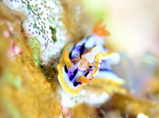 沖縄　石垣　okinawa