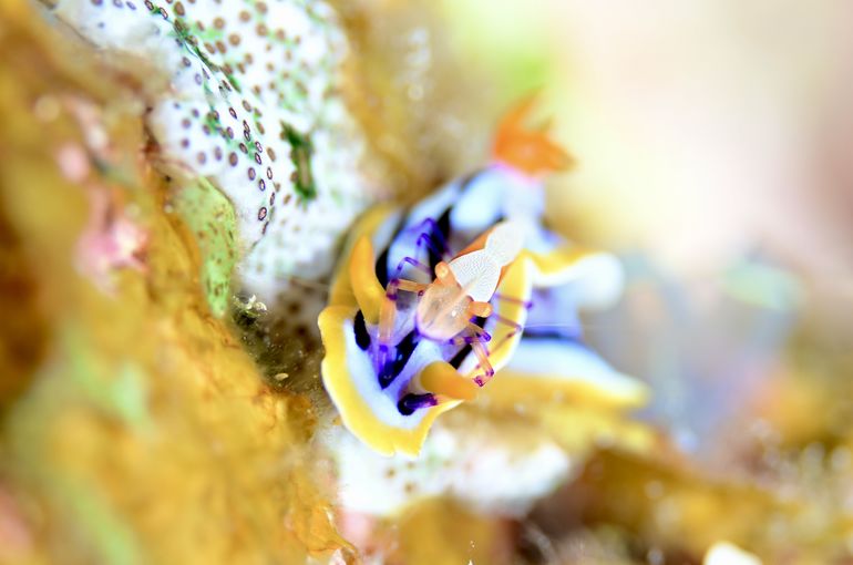 沖縄　石垣　okinawa