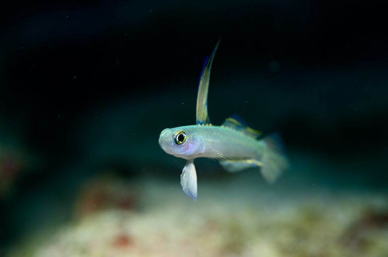 旅行　travel vacances