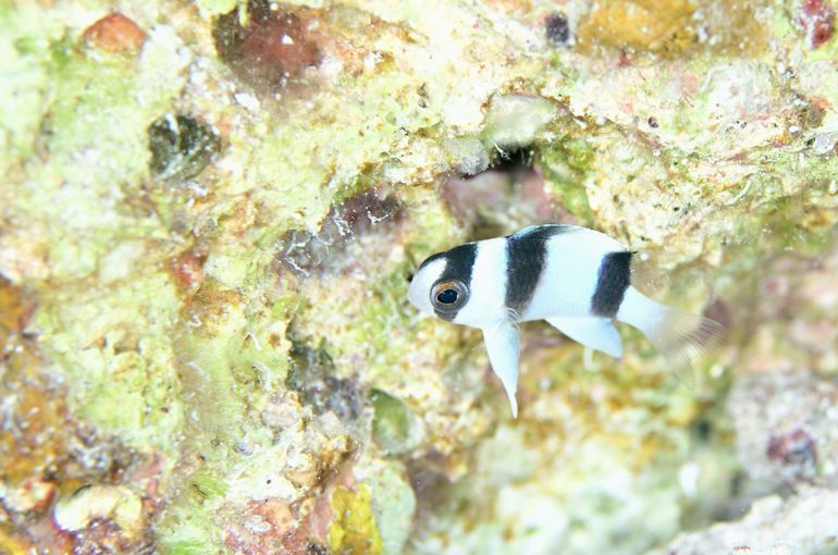 沖縄　石垣　okinawa