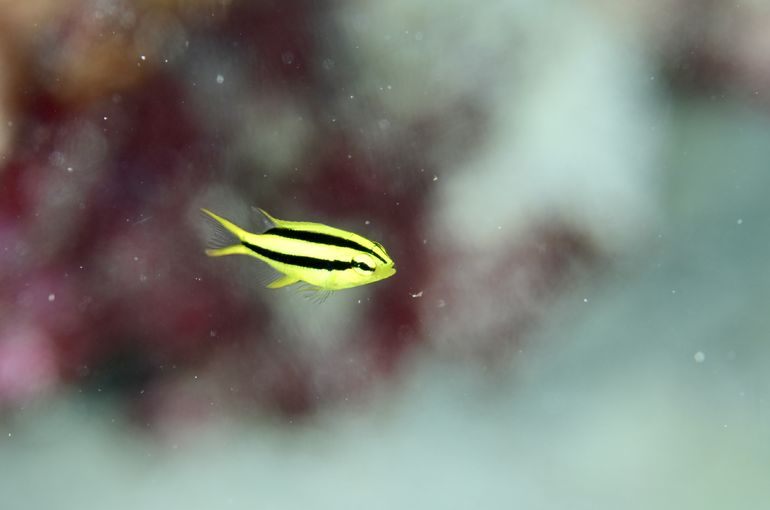 旅行　vacances vacation