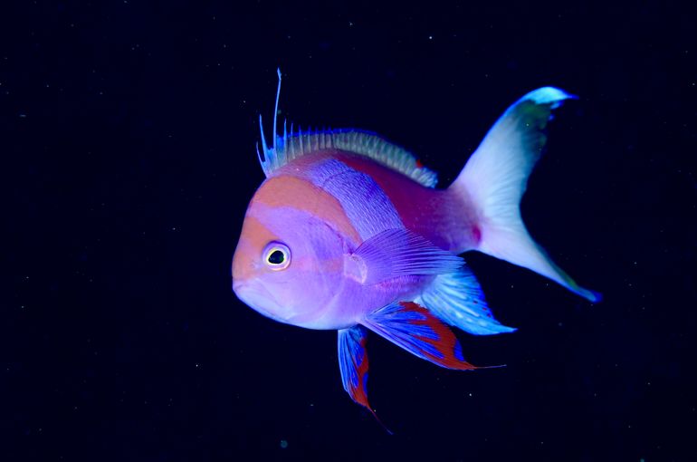 沖縄　石垣　okinawa