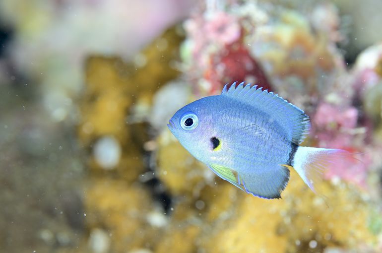 沖縄　石垣　okinawa