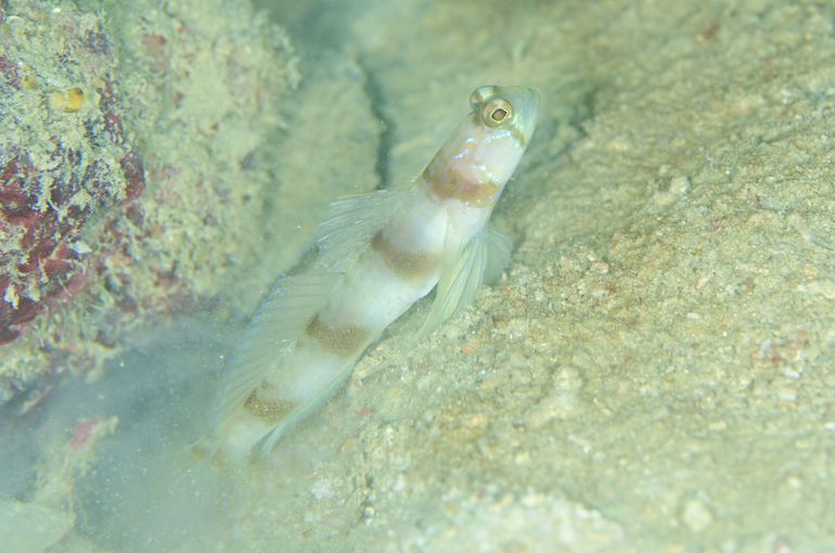 沖縄　石垣　okinawa