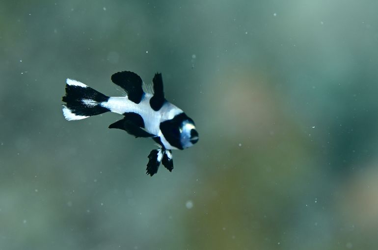 沖縄　石垣　okinawa