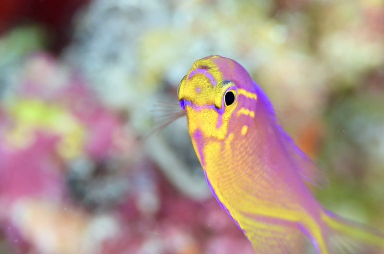 沖縄　多良間島　okinawa
