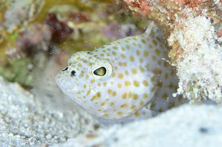 宮古島　多良間島　okinawa