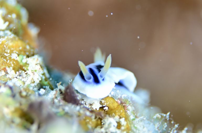 沖縄　多良間島　okinawa