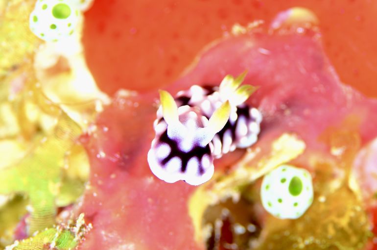 沖縄　多良間島　okinawa