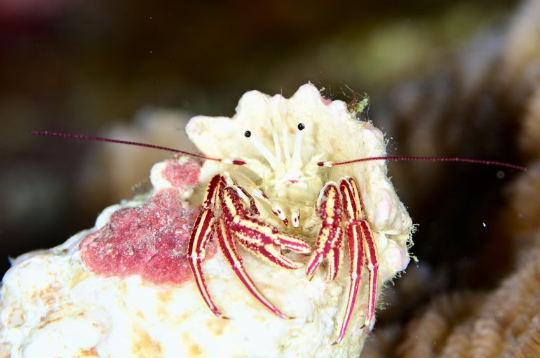 沖縄　久米島　okinawa