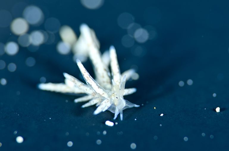 沖縄　久米島　okinawa