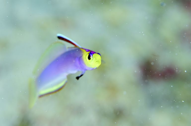 沖縄　久米島　okinawa