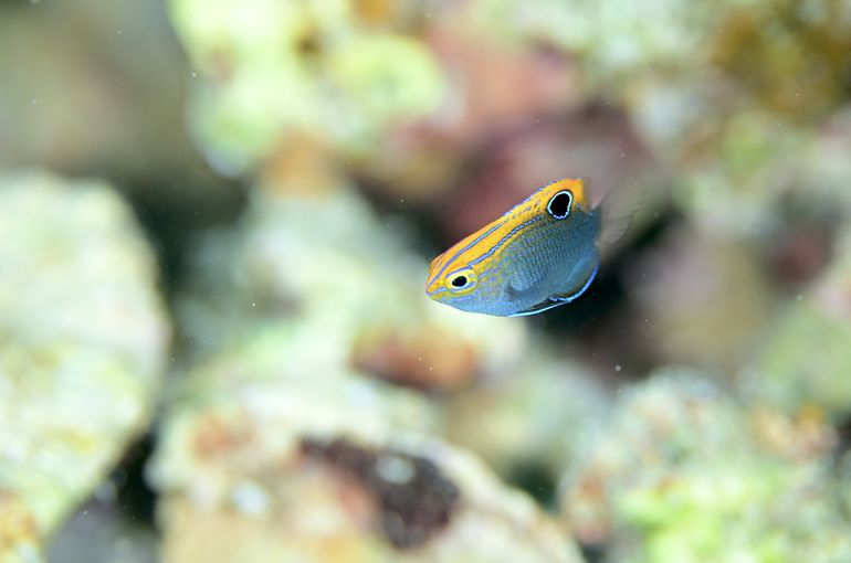 沖縄　石垣　okinawa