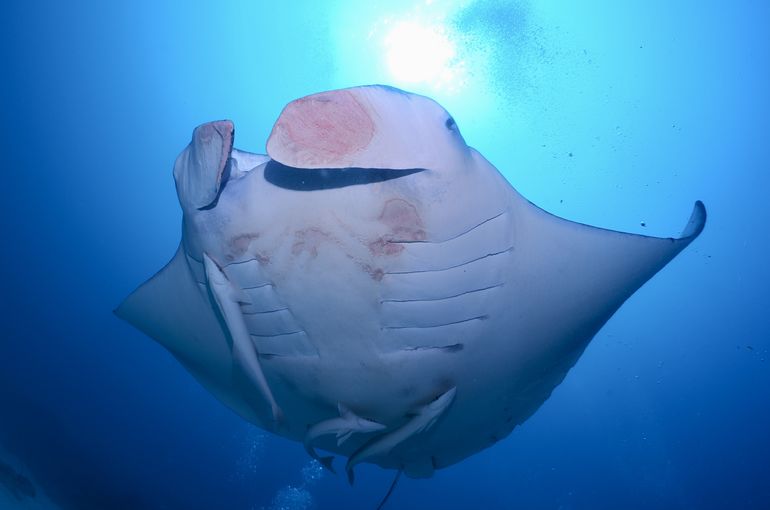 沖縄　石垣　okinawa