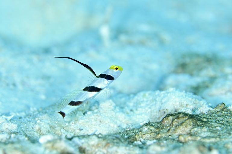 沖縄　石垣　okinawa