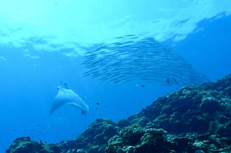 沖縄　石垣　okinawa