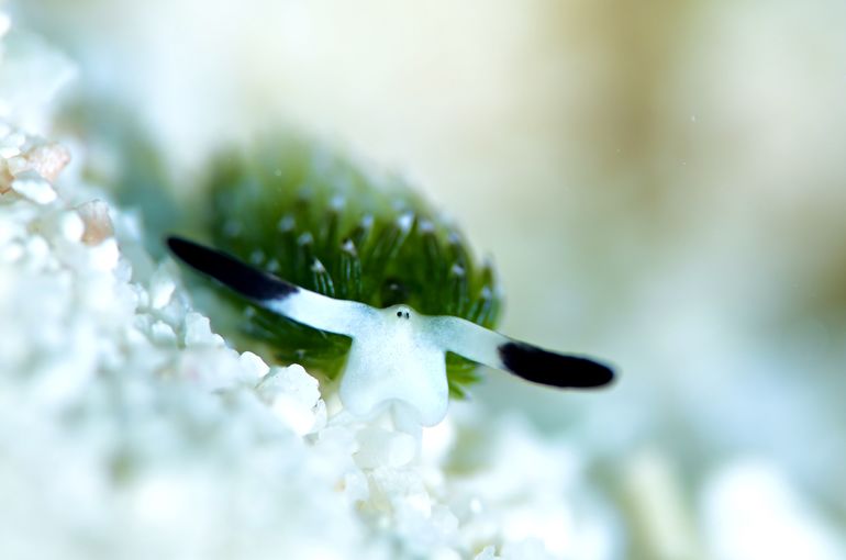 沖縄　石垣　okinawa