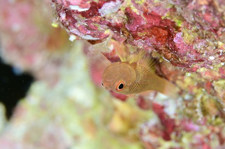 海　ツアー　Sea