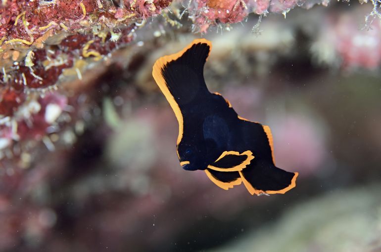 沖縄　石垣　okinawa