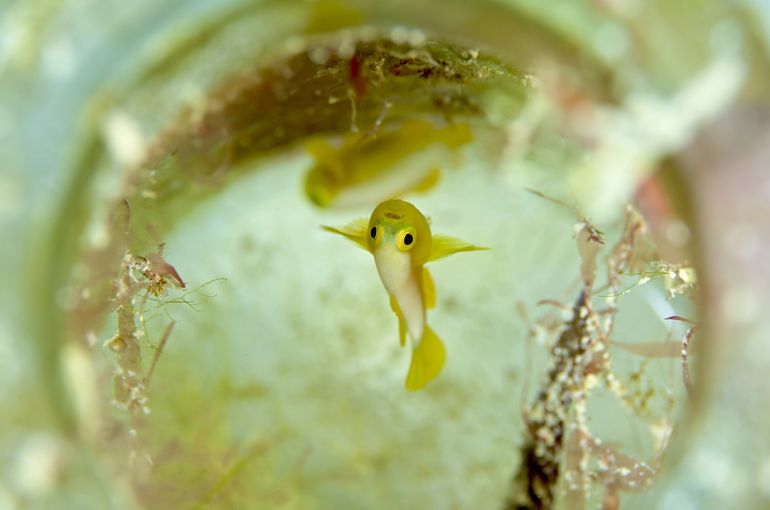 沖縄　石垣　okinawa