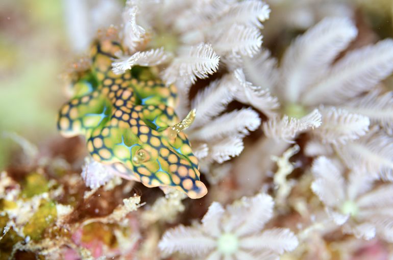 沖縄　石垣　okinawa