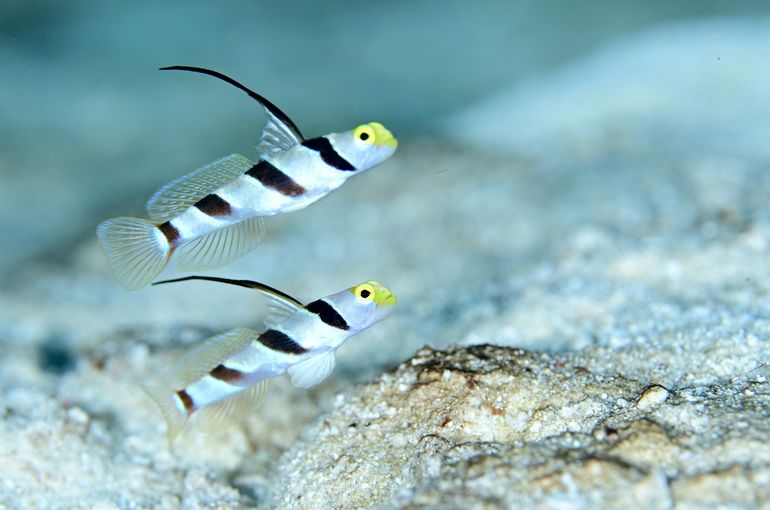 沖縄　石垣　okinawa