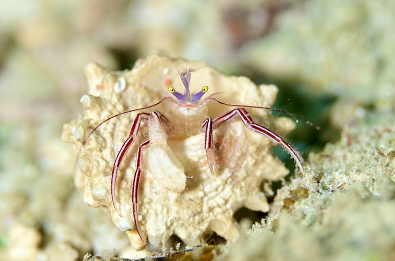 沖縄　石垣　okinawa
