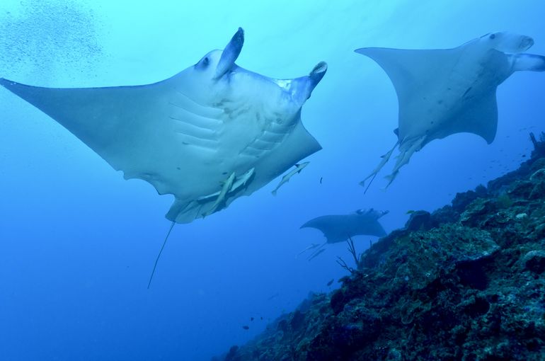 沖縄　石垣　okinawa