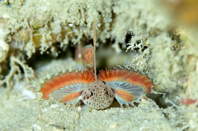 沖縄　石垣　okinawa