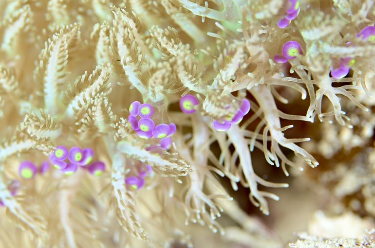 沖縄　石垣　okinawa