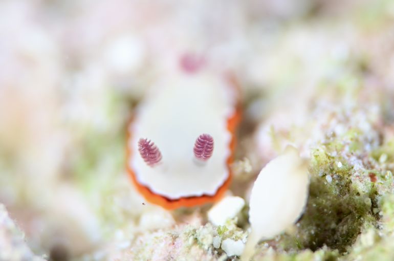 沖縄　石垣　okinawa