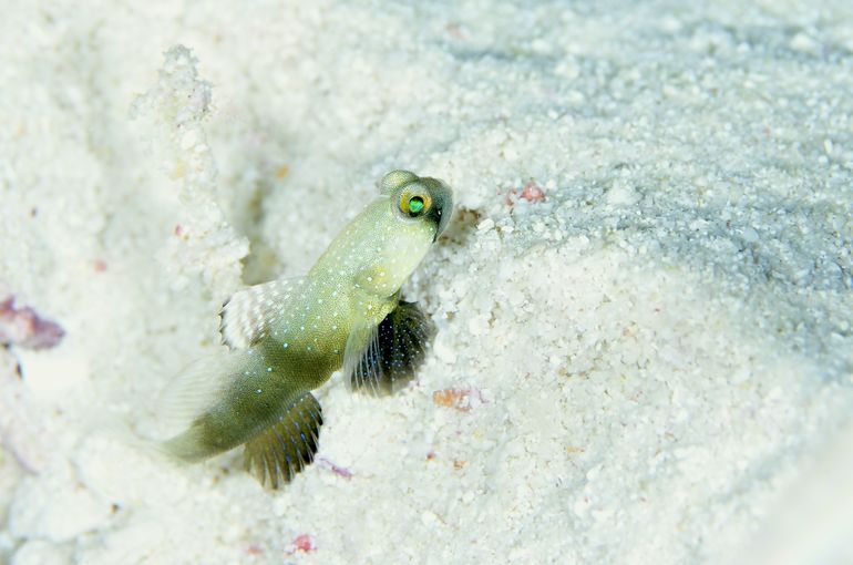 沖縄　石垣　okinawa