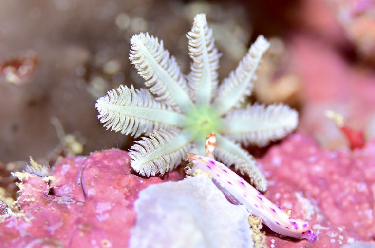 沖縄　石垣　okinawa