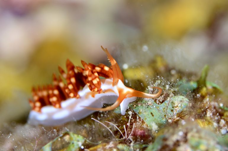 沖縄　石垣　okinawa
